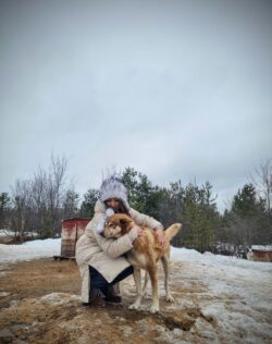 husky oleles husky oleles