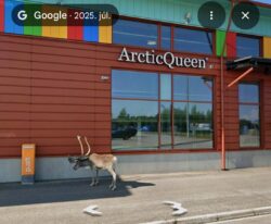 ivalo repuloter bejarat renszarvas google maps 2025 julius ivalo repuloter bejarat renszarvas google maps 2025 julius