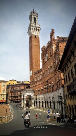 piazza del campo siena piazza del campo siena