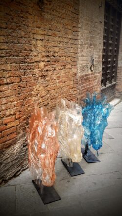 siena siena