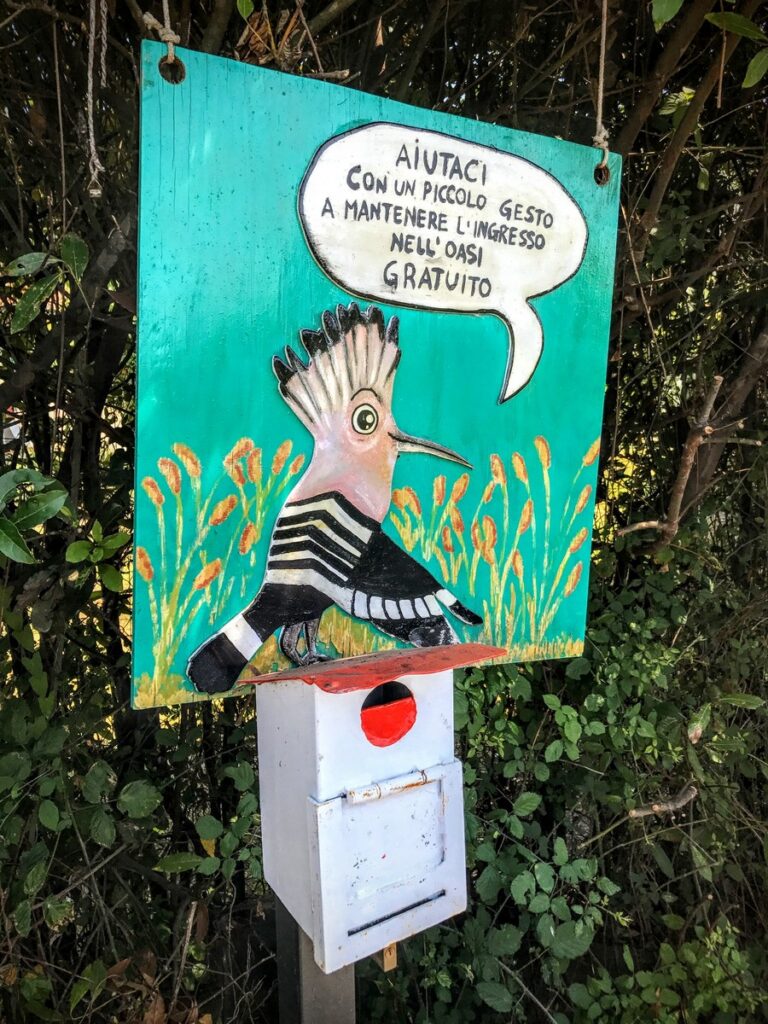oasi di massaciuccoli (2)