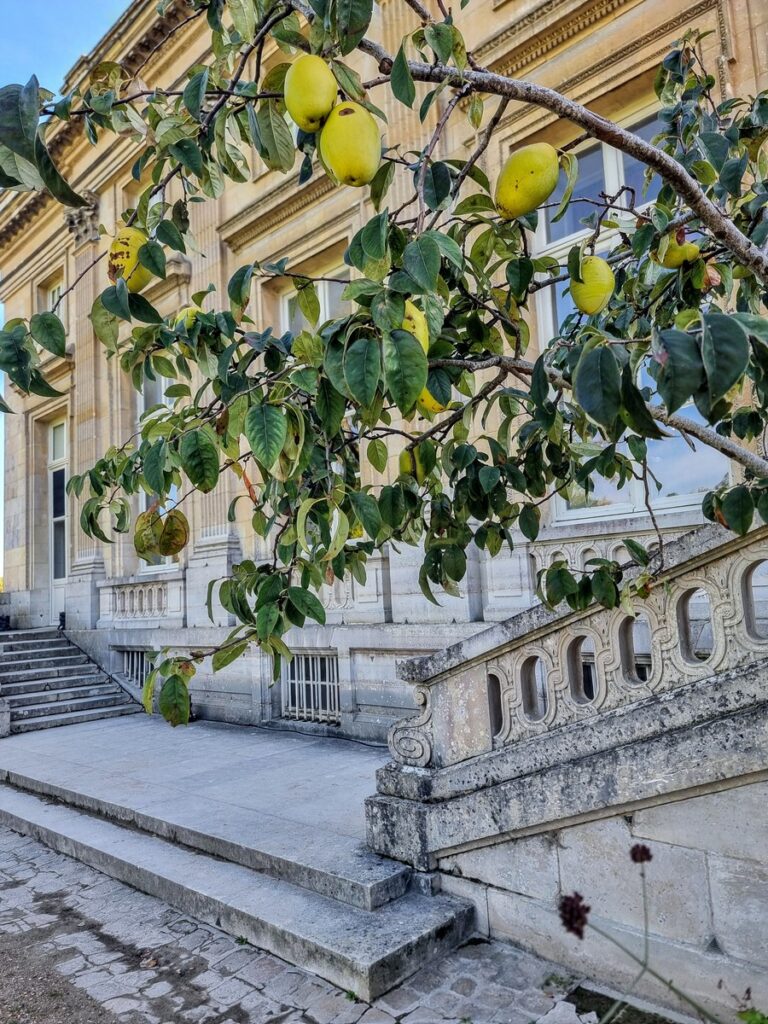 versailles petit trianon (5)