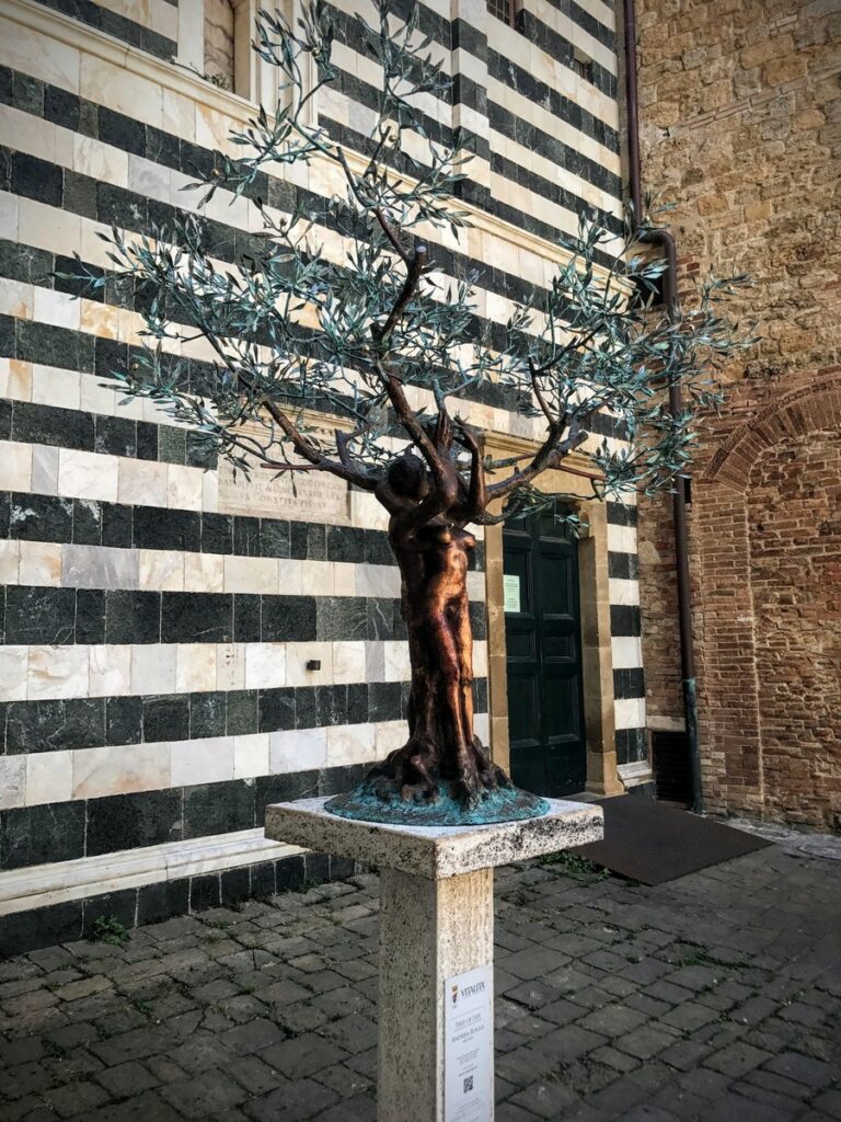 volterra (14)