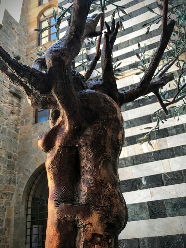 volterra (15)