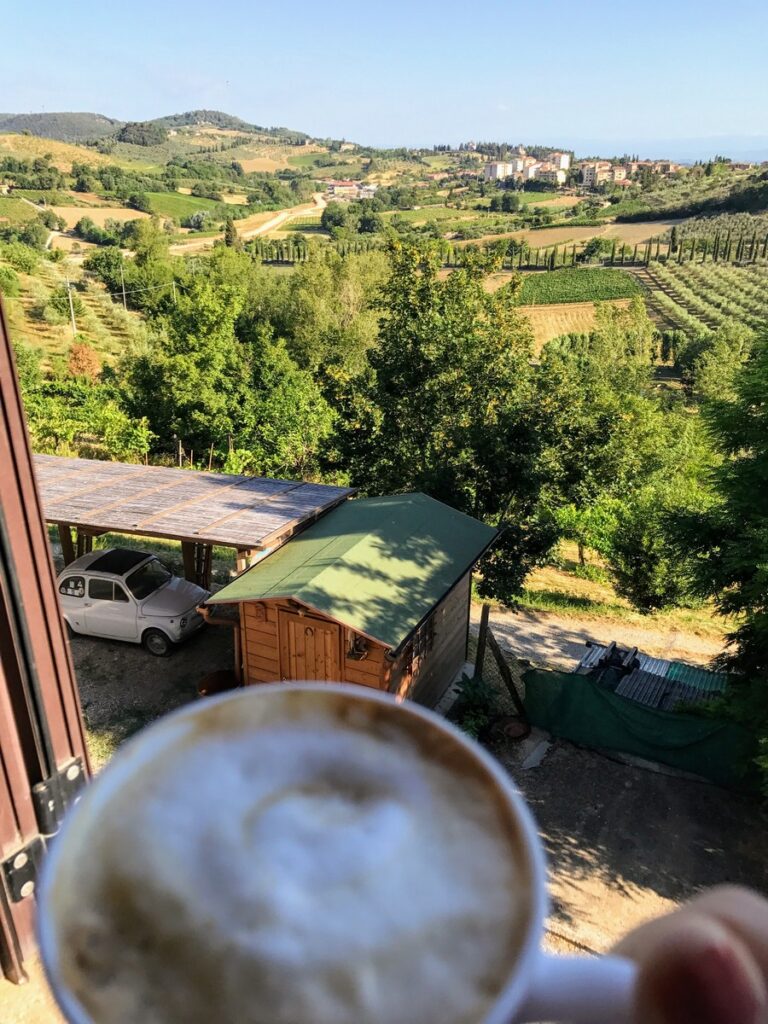 volterra (5)